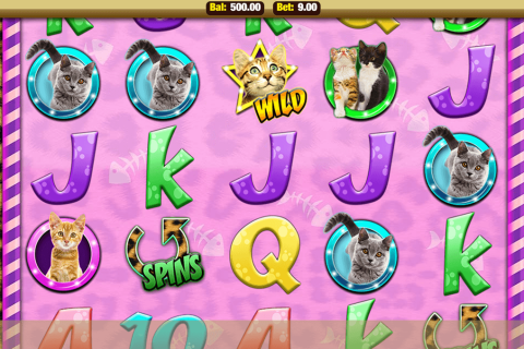 Meow Money Nektan Casino Slots 