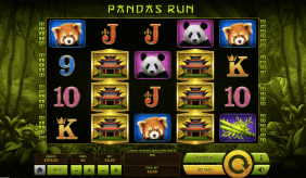 Pandas Run Tom Horn Casino Slots 
