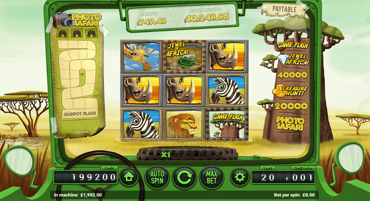 safari magnet gaming casino slots 