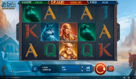 Vikings Fortune Hold And Win Playson Casino Slots 