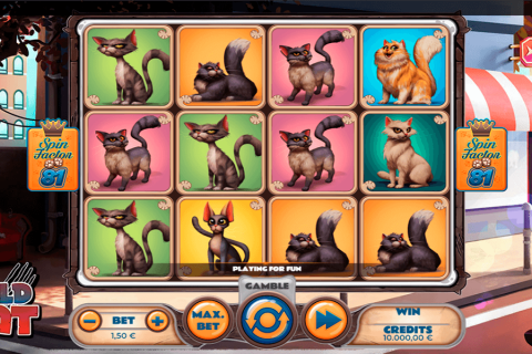 Wild Cat Spinmatic Casino Slots 