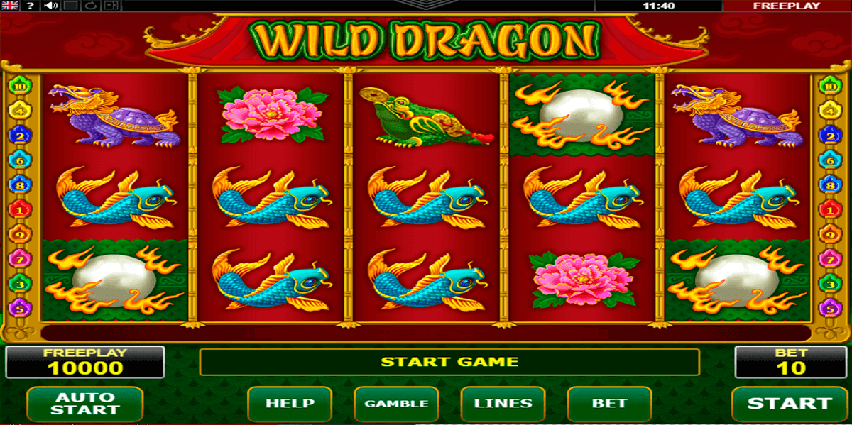 wild dragon amatic casino slots 