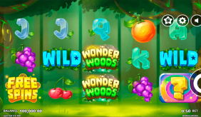 Wonder Woods Just For The Win Casino Slots 